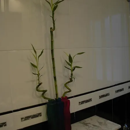 La Pintada Apartman *